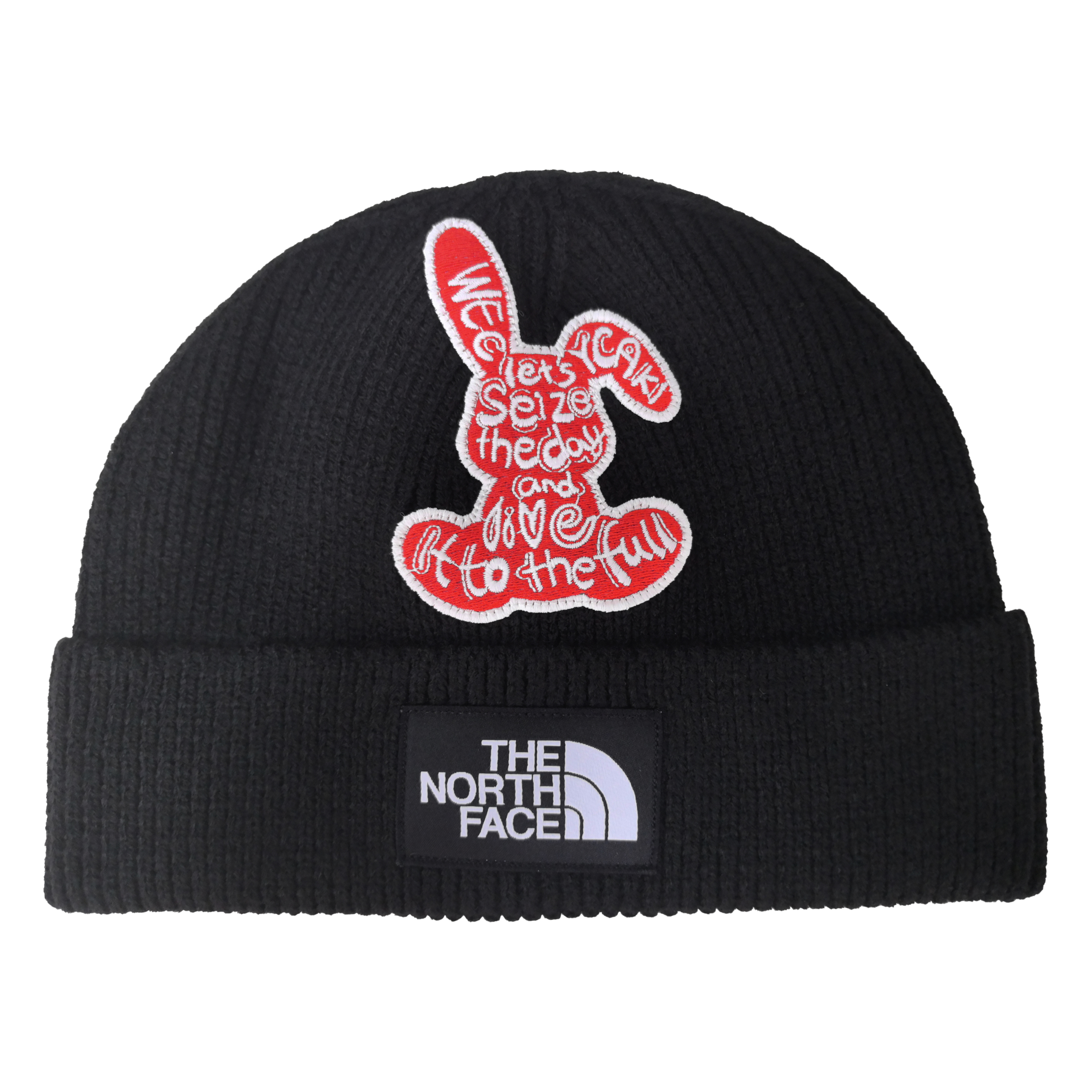 Нейлоновая шапка унисекс THE NORTH FACE, черный
Нейлоновая шапка унисекс THE NORTH FACE, черный