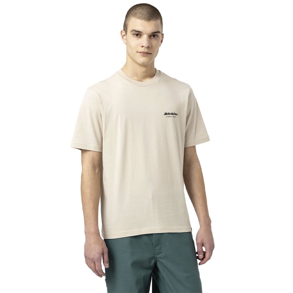 Футболка Dickies Artondale Box, серый
Футболка Dickies Artondale Box, серый