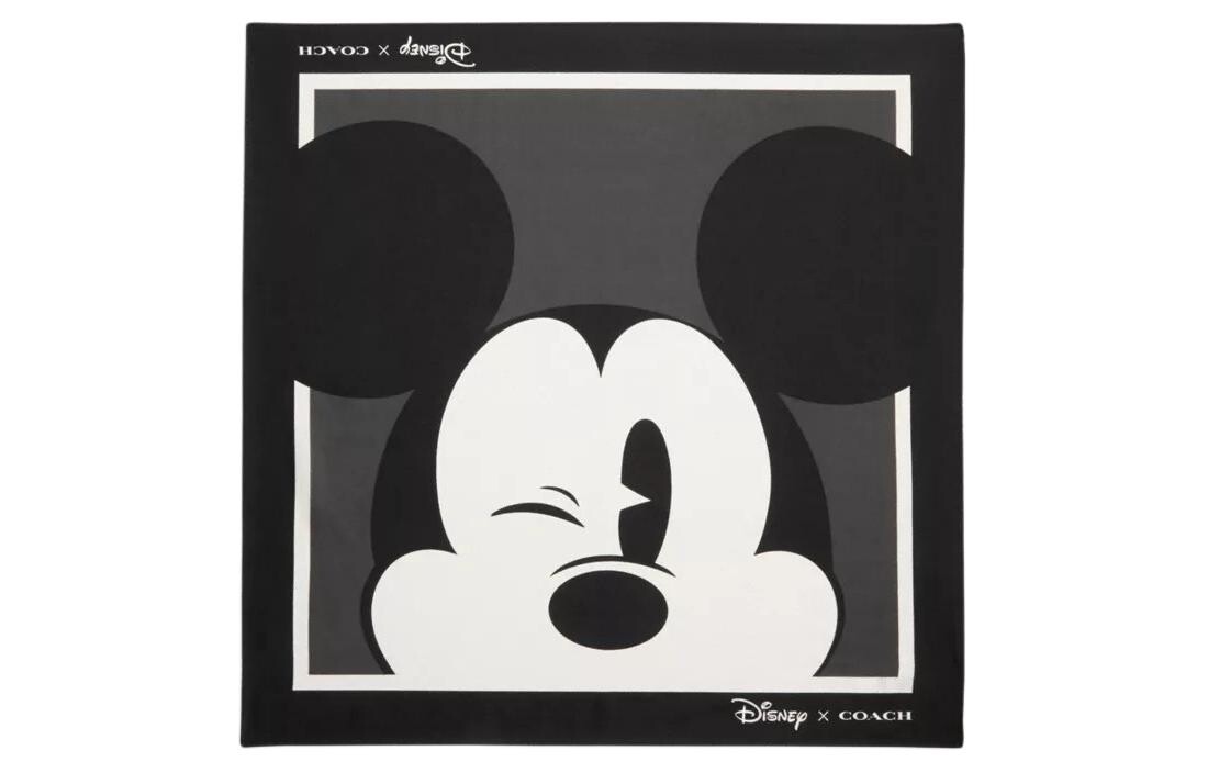 Шелковый шарф COACH унисекс
Шелковый шарф COACH унисекс