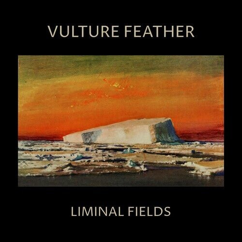 Виниловая пластинка Vulture Feather - Vulture Feather - Bone
Виниловая пластинка Vulture Feather - Vulture Feather - Bone