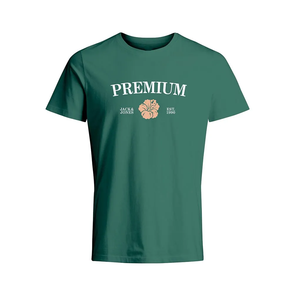 Футболка Jack & Jones Blaalfie, зеленый
Футболка Jack & Jones Blaalfie, зеленый
