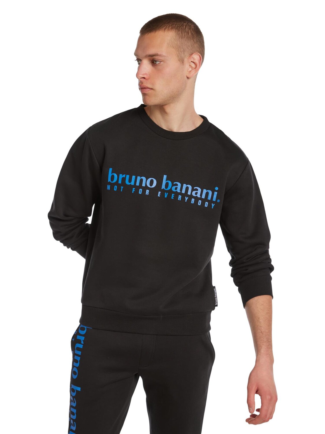 Толстовка Bruno Banani Carlson, черный
Толстовка Bruno Banani Carlson, черный