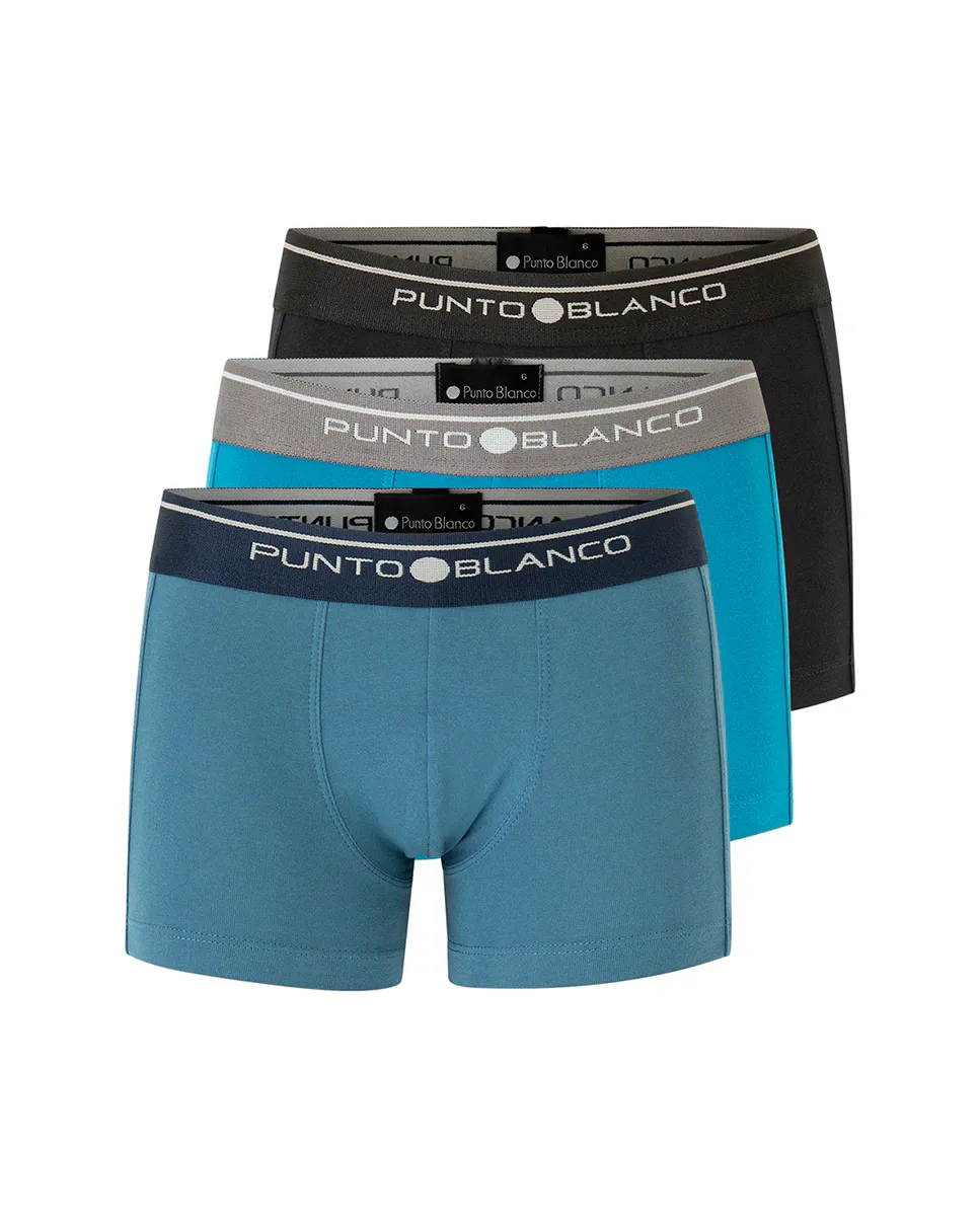 Набор из 3 боксеров для мальчиков с логотипом на талии Punto Blanco, многоцветный
Набор из 3 боксеров для мальчиков с логотипом на талии Punto Blanco, многоцветный