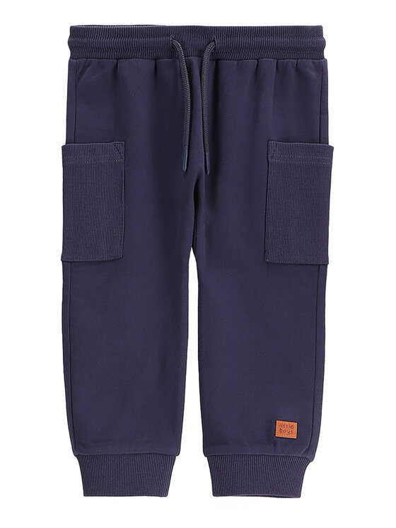 Спортивные брюки обычного кроя WC5120101SBN Coccodrillo, синий
Спортивные брюки обычного кроя WC5120101SBN Coccodrillo, синий