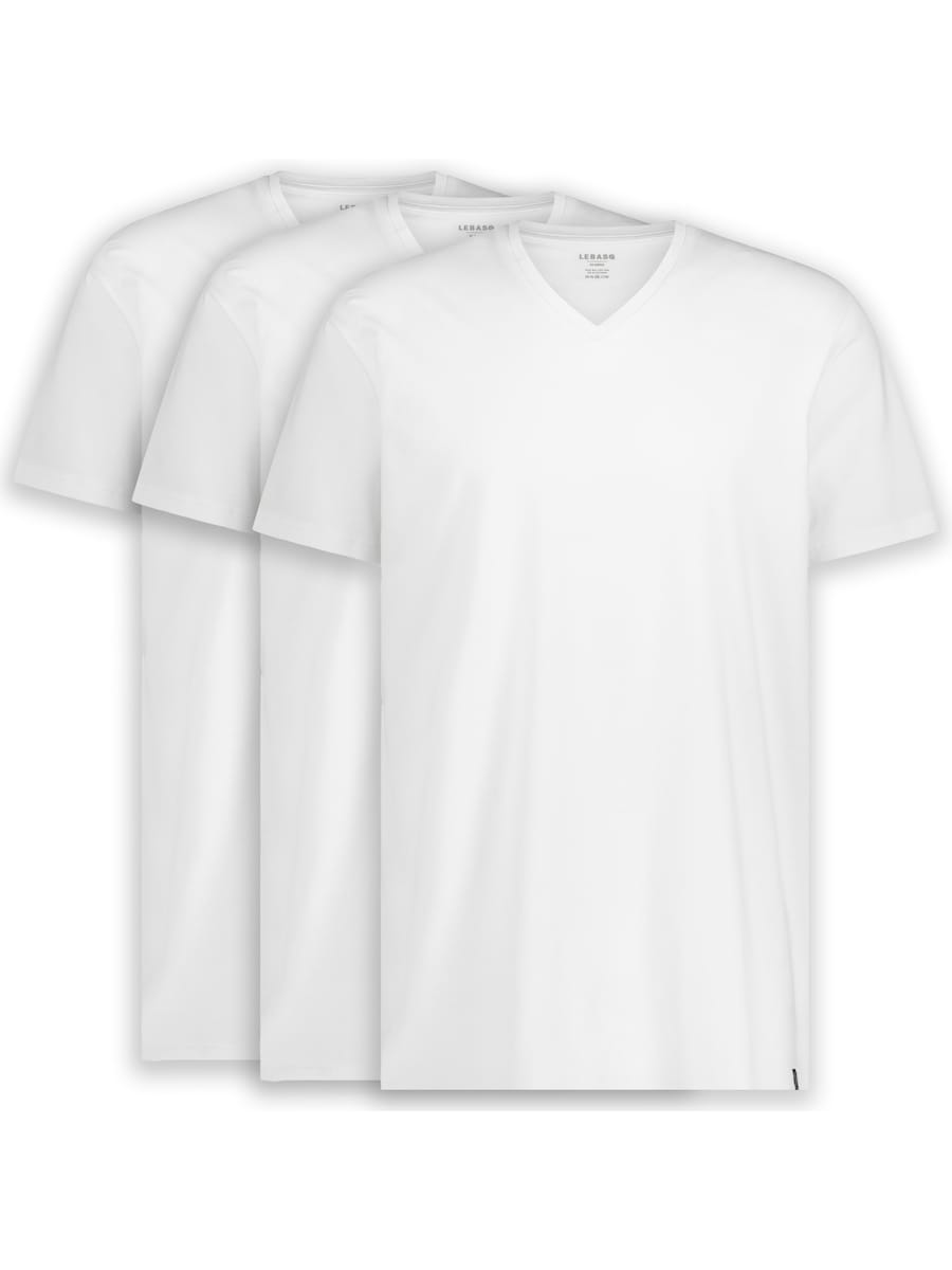 Рубашка LEBASQ Davis V Neck Long Fit, белый
Рубашка LEBASQ Davis V Neck Long Fit, белый