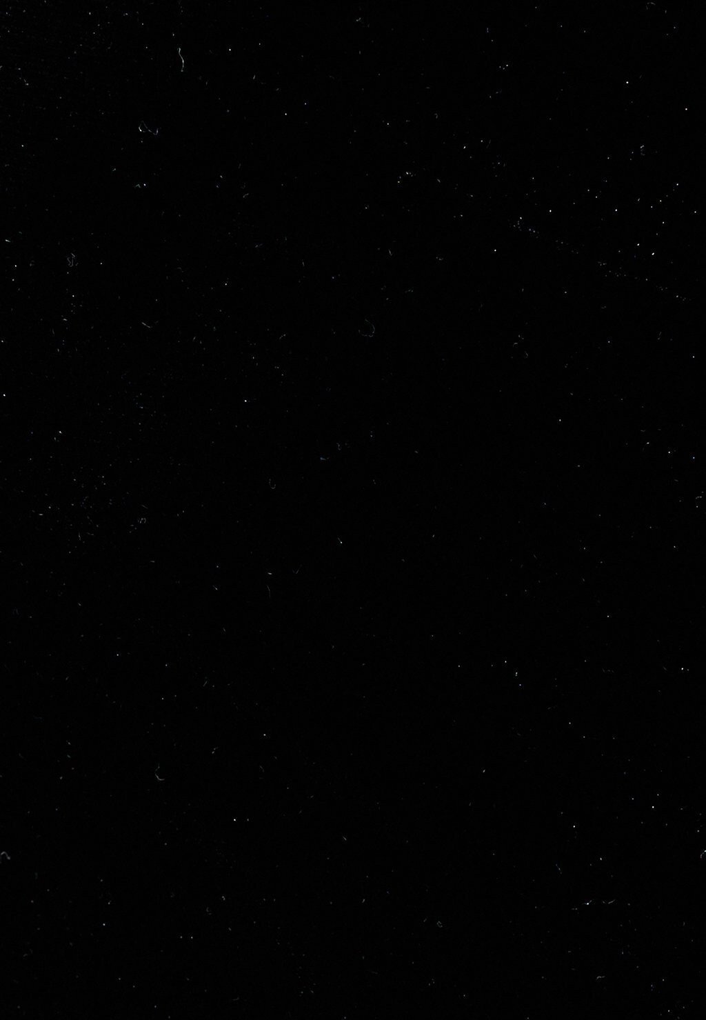 Коктейльное платье / Вечернее платье MINI Koton, черный
Коктейльное платье / Вечернее платье MINI Koton, черный