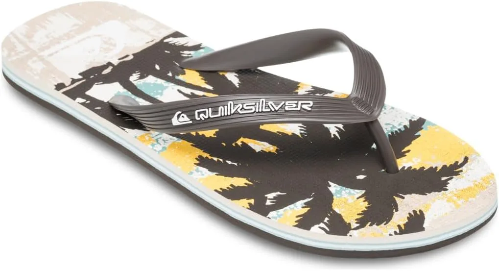 Мужские вьетнамки Quiksilver
Мужские вьетнамки Quiksilver