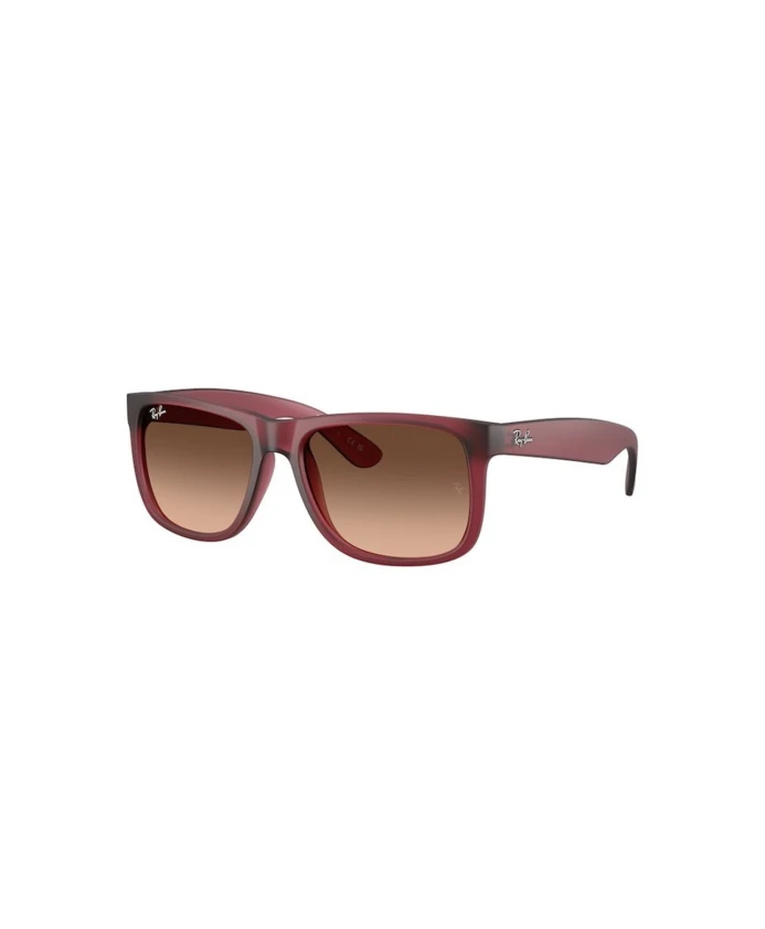 Солнцезащитные очки Джастина Ray-Ban, фиолетовый
Солнцезащитные очки Джастина Ray-Ban, фиолетовый