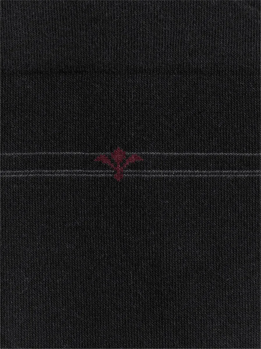 Носки Рого (3 пары) Rogo, черный
Носки Рого (3 пары) Rogo, черный