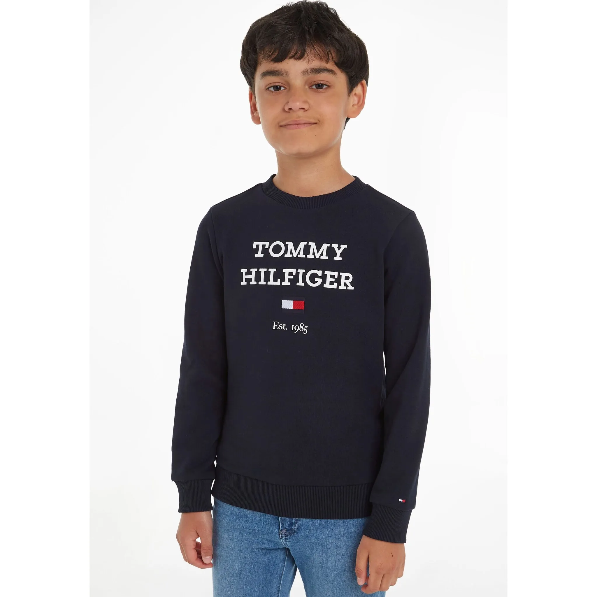 Толстовка Tommy Hilfiger «TH LOGO SWEATSHIRT», с большим логотипом, цвет desert sky
Толстовка Tommy Hilfiger «TH LOGO SWEATSHIRT», с большим логотипом, цвет desert sky