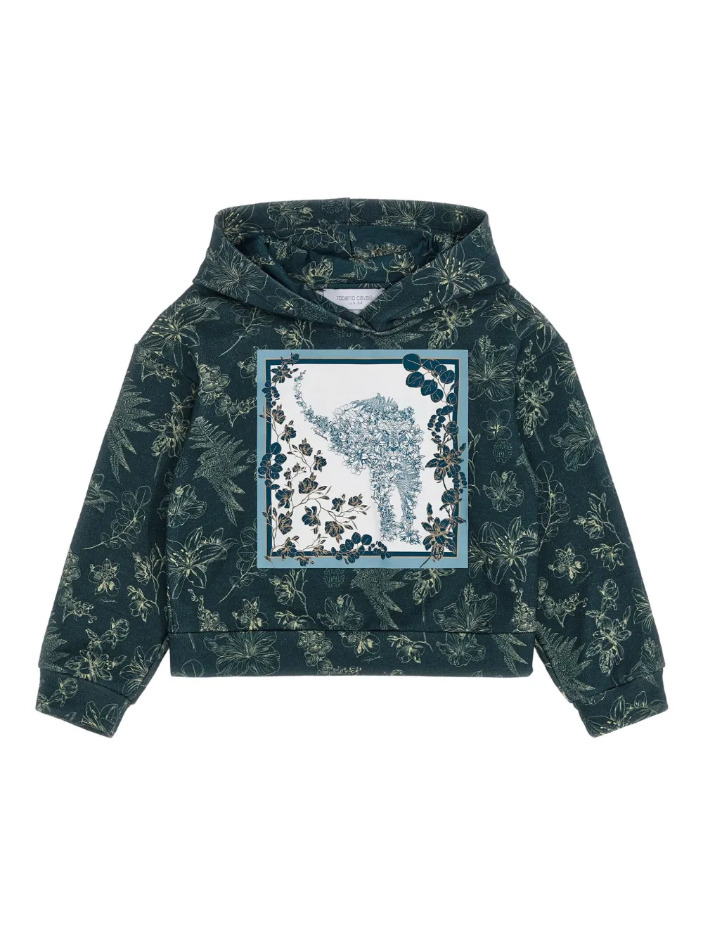 Худи с цветочным принтом Roberto Cavalli, синий
Худи с цветочным принтом Roberto Cavalli, синий