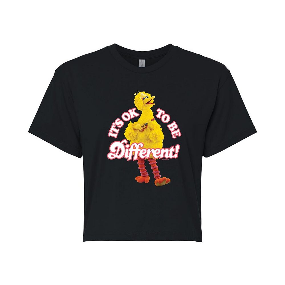 Укороченная футболка Big Bird It’s Ok для юниоров из «Улицы Сезам» Licensed Character, черный
Укороченная футболка Big Bird It’s Ok для юниоров из «Улицы Сезам» Licensed Character, черный