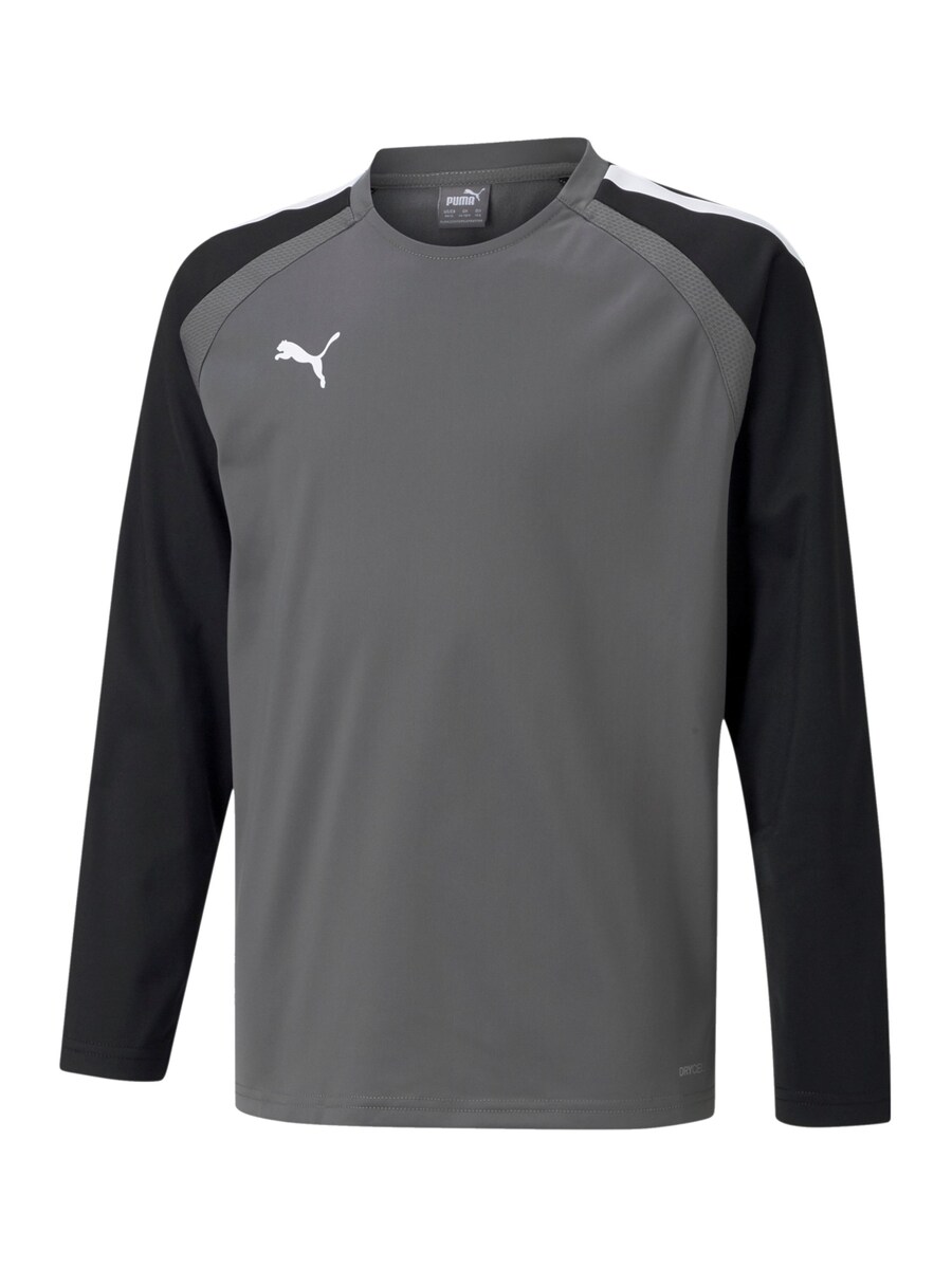 Футболка Performance PUMA TeamLiga, серый
Футболка Performance PUMA TeamLiga, серый