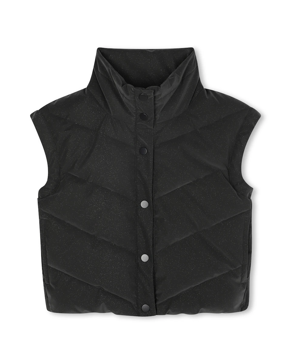 Детский утепленный жилет с высоким воротником Billieblush, черный
Детский утепленный жилет с высоким воротником Billieblush, черный