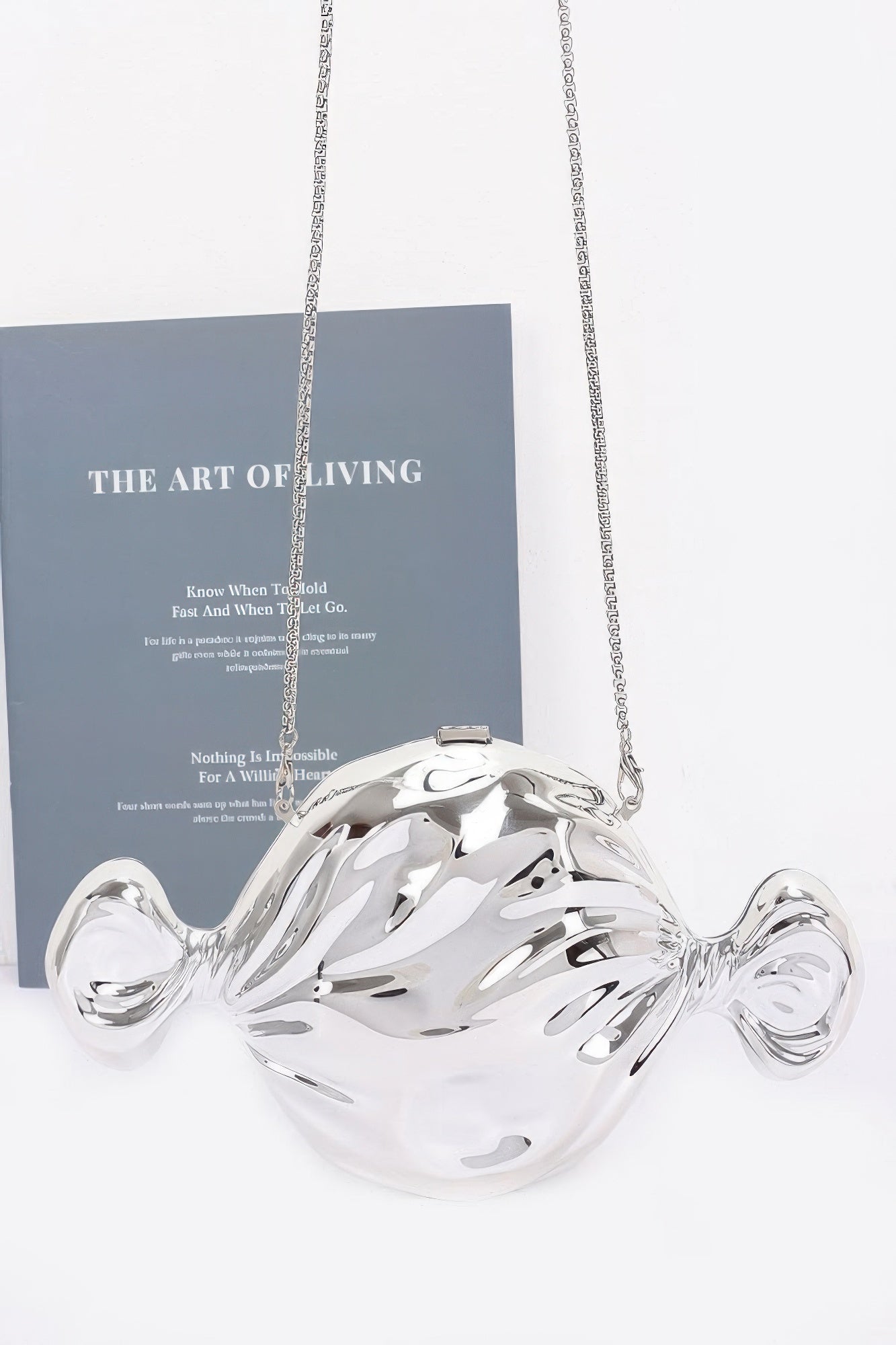 Женская акриловая сумка-чехол FASHNZFAB, серебряный
Женская акриловая сумка-чехол FASHNZFAB, серебряный