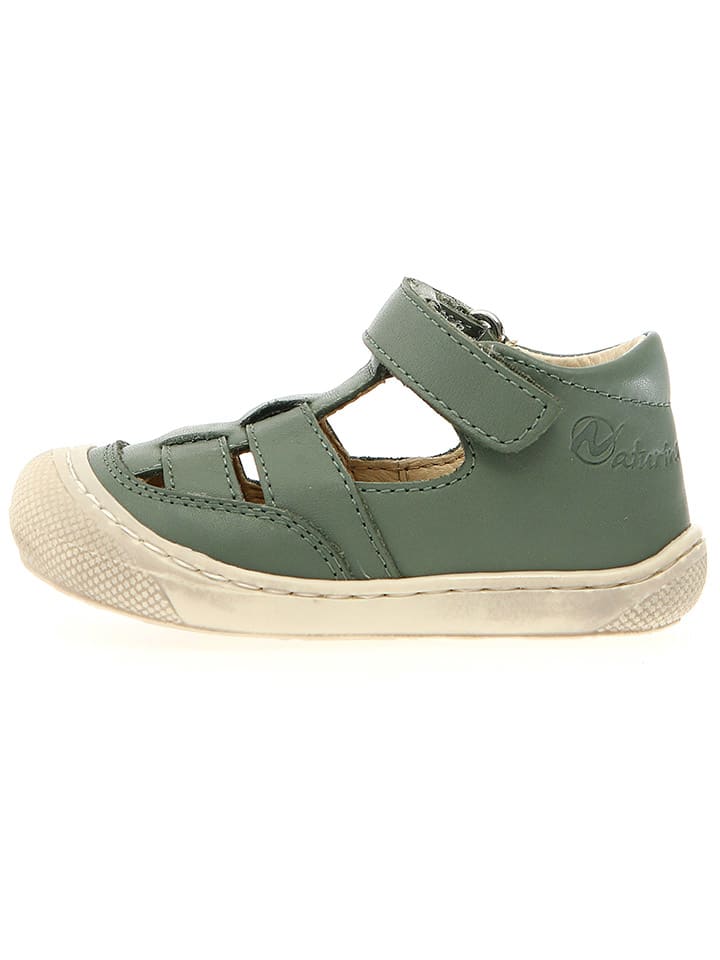 Сандалии Naturino, зеленый
Сандалии Naturino, зеленый