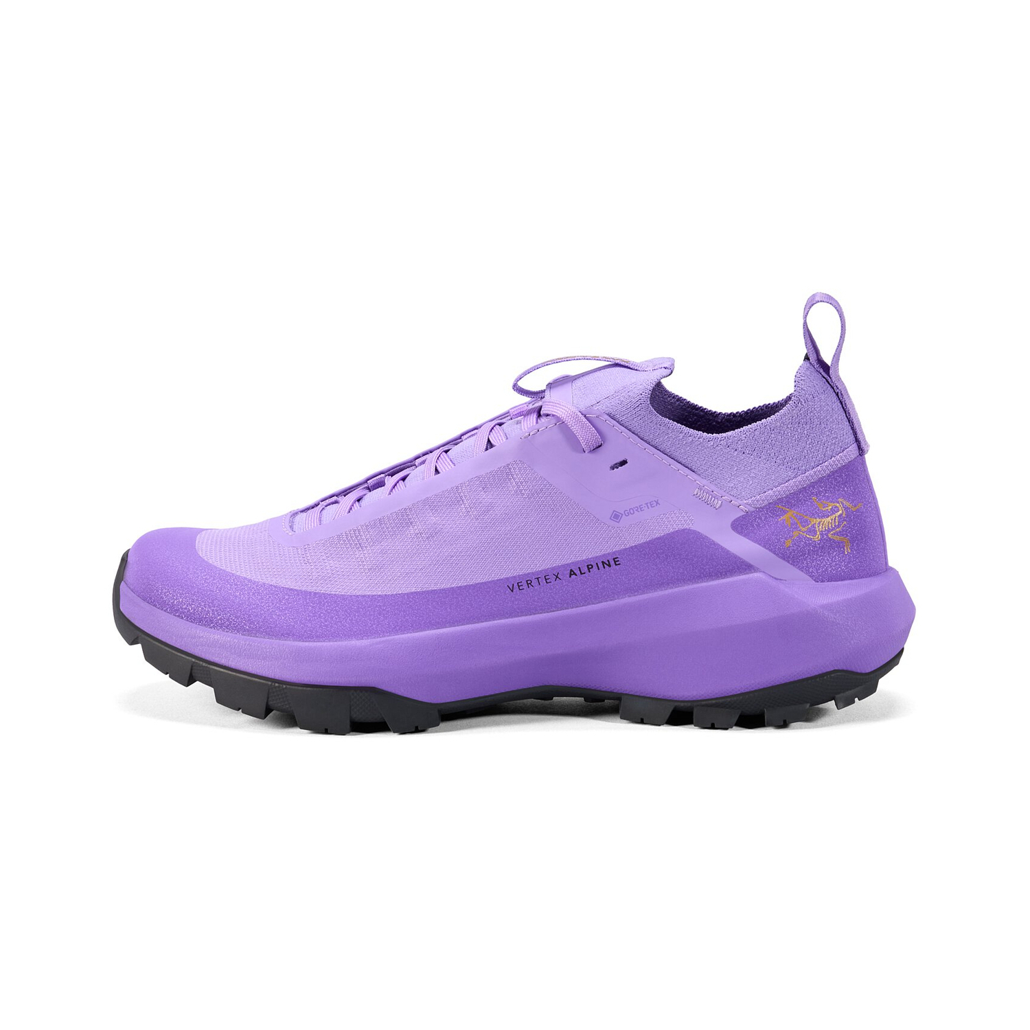 Туристические ботинки Vertex GTX женские Arcteryx, Mountain Aster
Туристические ботинки Vertex GTX женские Arcteryx, Mountain Aster