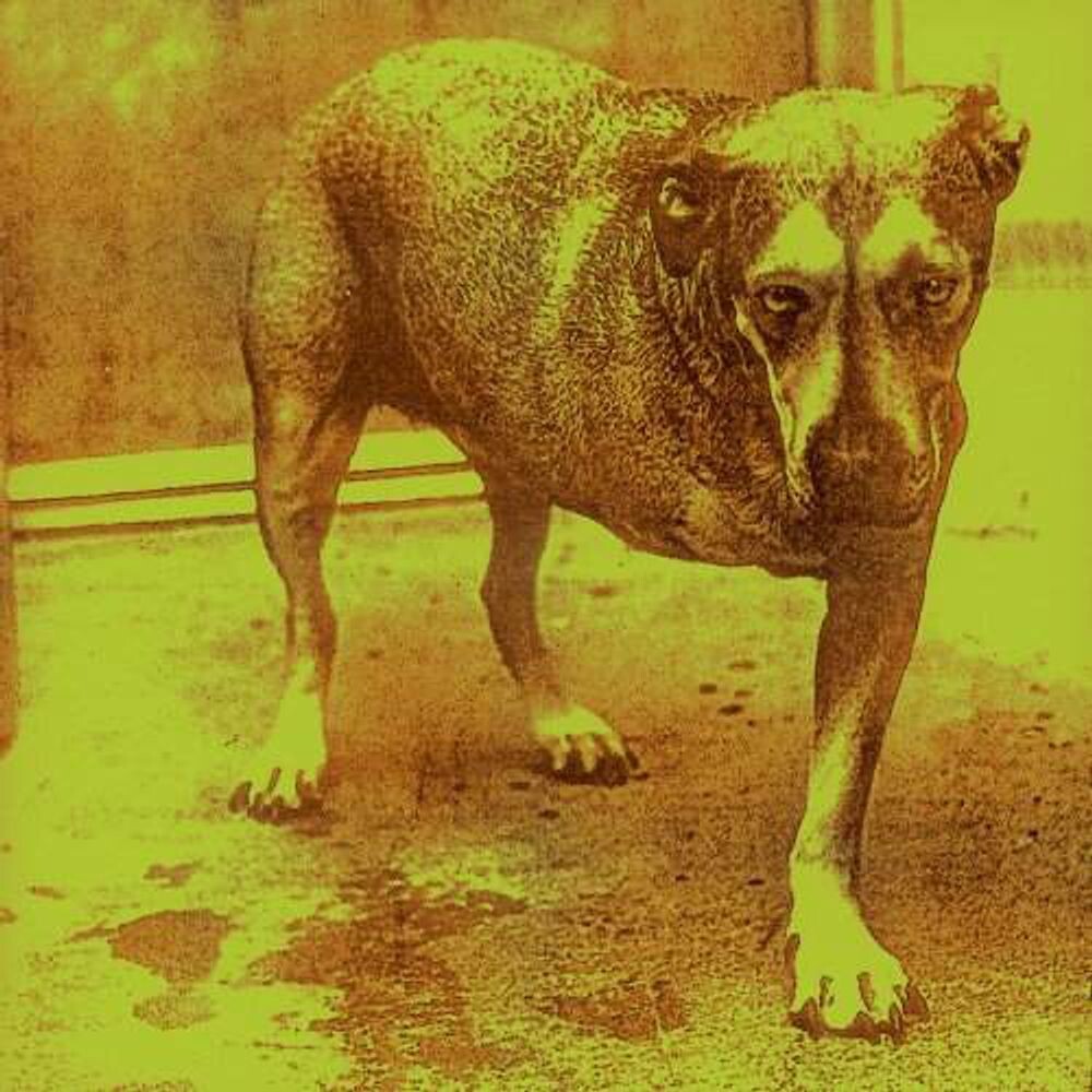 Диск CD Alice In Chains - Alice In Chains
Диск CD Alice In Chains - Alice In Chains