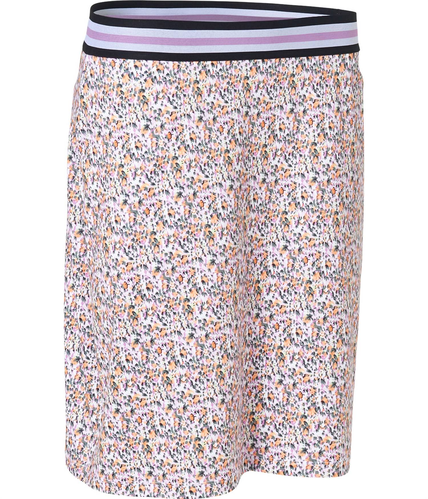 Женская юбка-шорты Anne в смешанном стиле Lupine Abacus Sportswear US, цвет lupine mixed
Женская юбка-шорты Anne в смешанном стиле Lupine Abacus Sportswear US, цвет lupine mixed