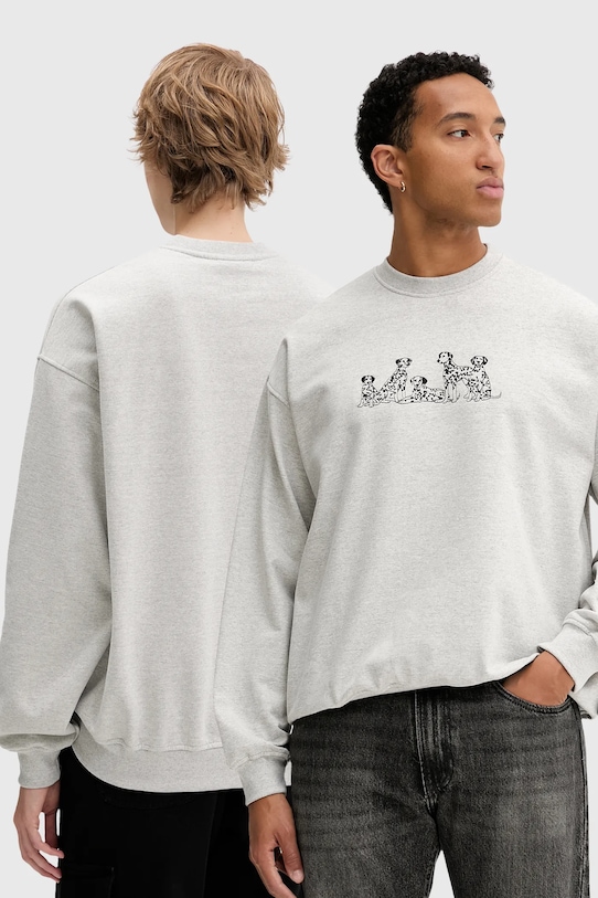 Толстовка Kaotiko, серый
Толстовка Kaotiko, серый