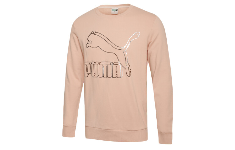 Мужская толстовка Puma, цвет Pink
Мужская толстовка Puma, цвет Pink