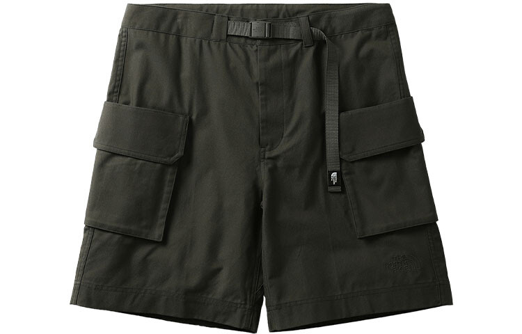 Повседневные шорты мужские зеленые The North Face, зеленый
Повседневные шорты мужские зеленые The North Face, зеленый