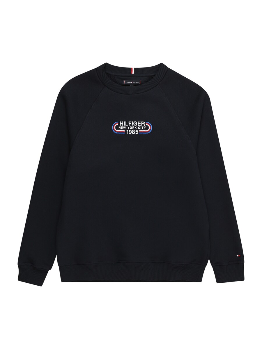 Толстовка TOMMY HILFIGER, светло-синий/темно-синий
Толстовка TOMMY HILFIGER, светло-синий/темно-синий