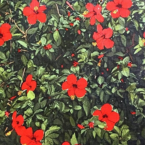 Виниловая пластинка Real Live Tigers: Denatured
Виниловая пластинка Real Live Tigers: Denatured