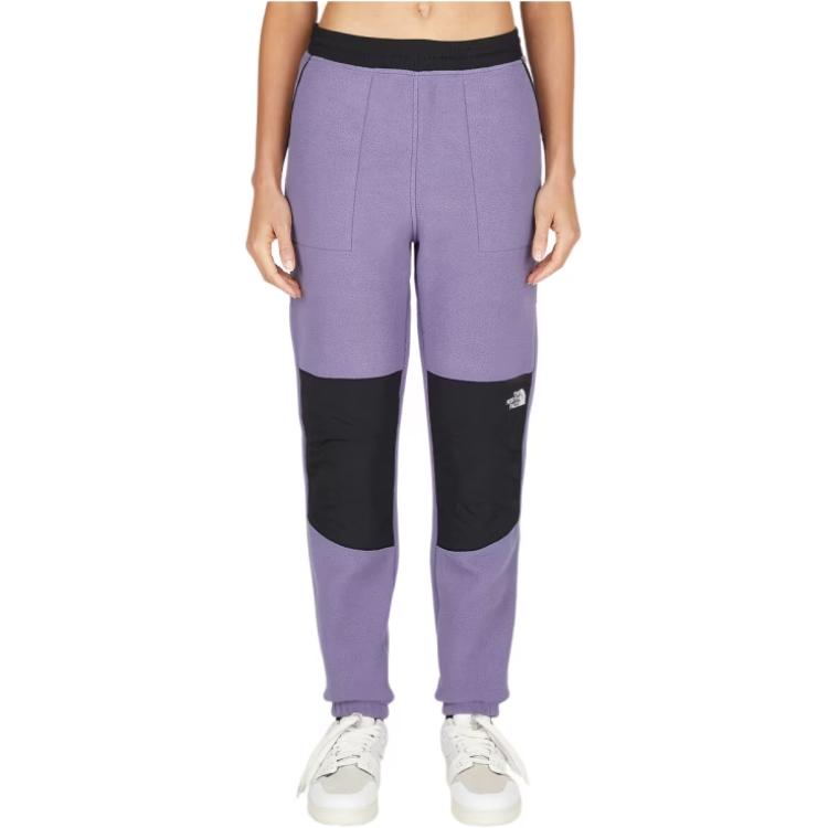 Denali Color-Block Track Pants THE NORTH FACE, фиолетовый
Denali Color-Block Track Pants THE NORTH FACE, фиолетовый