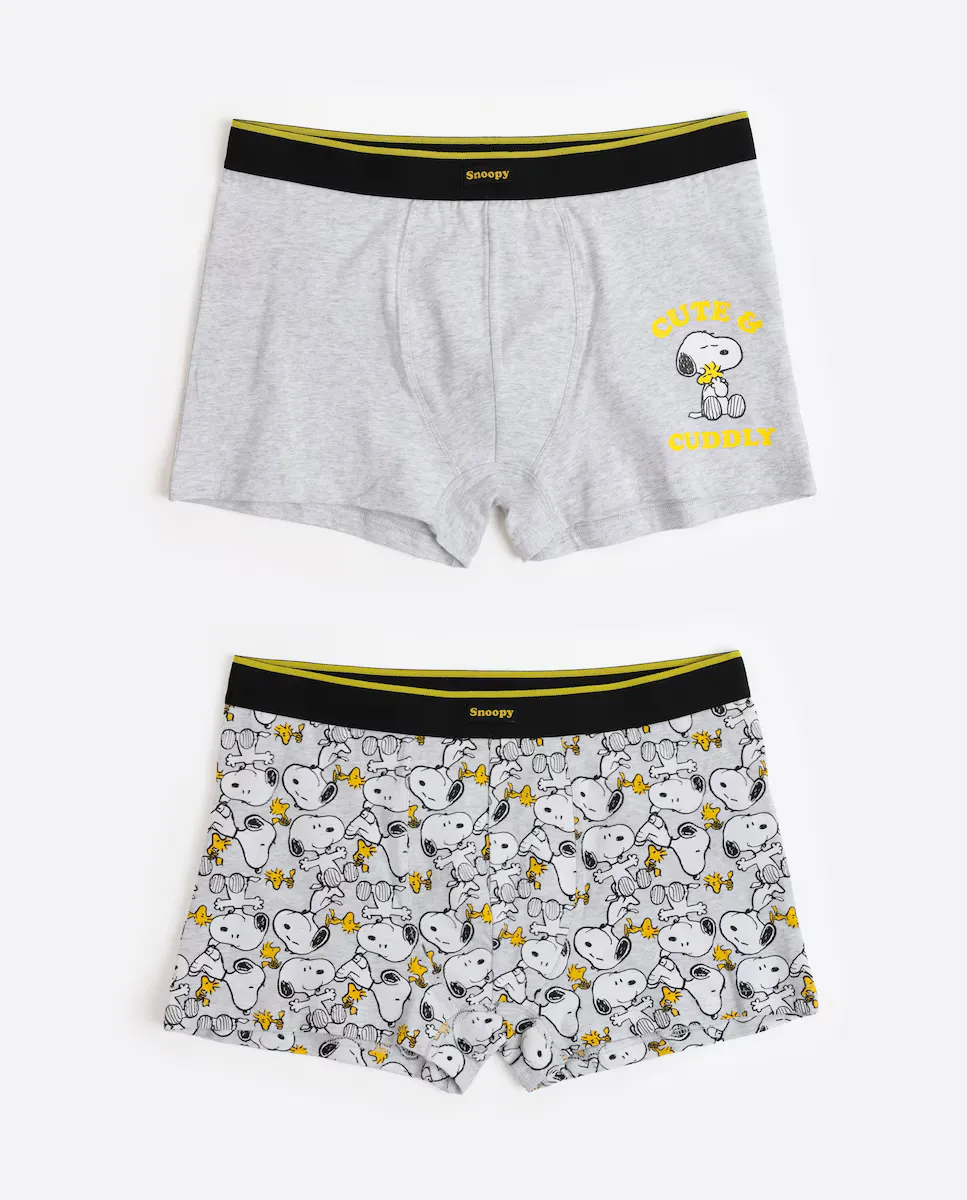 Упаковка из двух мужских трикотажных трусов-боксеров светло-серого цвета Peanuts, мультиколор
Упаковка из двух мужских трикотажных трусов-боксеров светло-серого цвета Peanuts, мультиколор