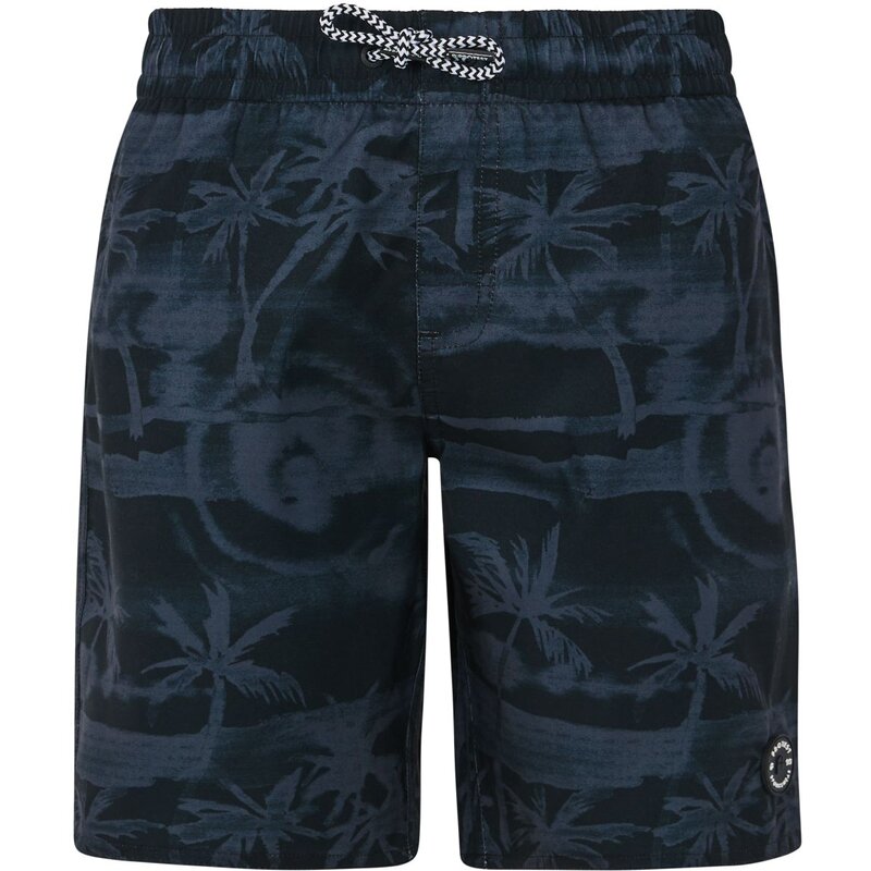 Шорты для плавания prtstones jr Protest, черный
Шорты для плавания prtstones jr Protest, черный