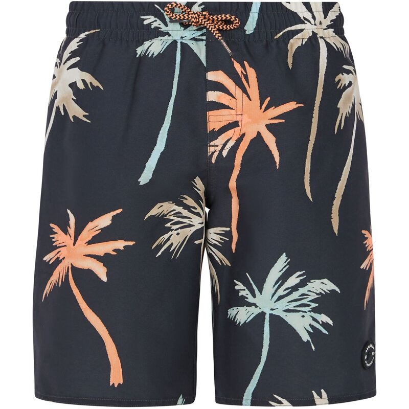 Badeshorts prtbrandon jr Protest, серый
Badeshorts prtbrandon jr Protest, серый