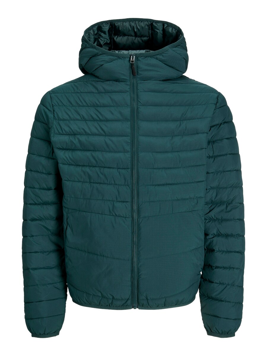 Демисезонная куртка JACK & JONES JACK & JONES , Dark green
Демисезонная куртка JACK & JONES JACK & JONES , Dark green