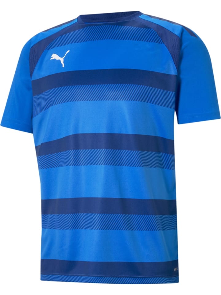 Спортивная футболка TeamVISION Jersey синего цвета Puma
Спортивная футболка TeamVISION Jersey синего цвета Puma