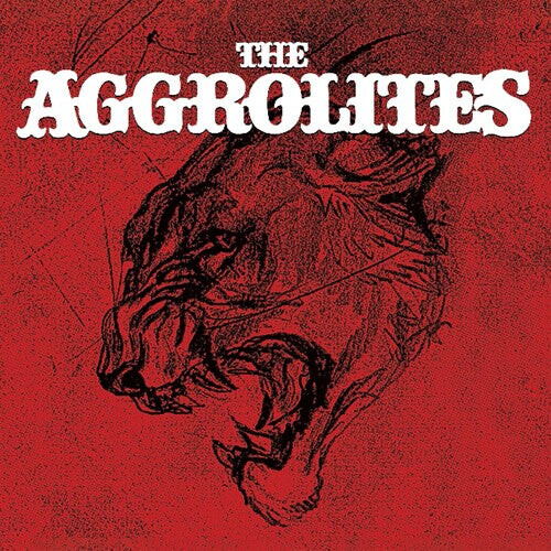 Виниловая пластинка Aggrolites: Aggrolites
Виниловая пластинка Aggrolites: Aggrolites
