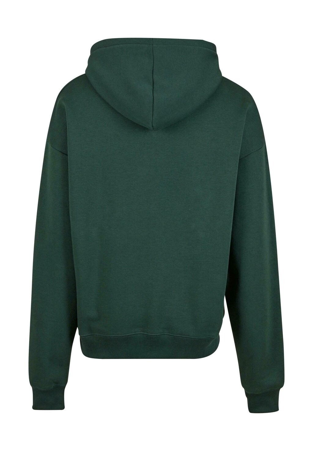 Толстовка с капюшоном CAMDEN PROHIBITED, зеленый
Толстовка с капюшоном CAMDEN PROHIBITED, зеленый