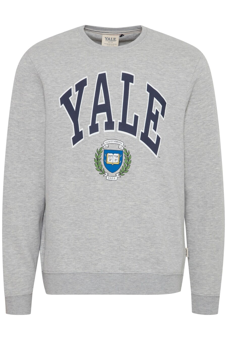 Свитер BLEND Sweatshirt, пятнистый серый
Свитер BLEND Sweatshirt, пятнистый серый