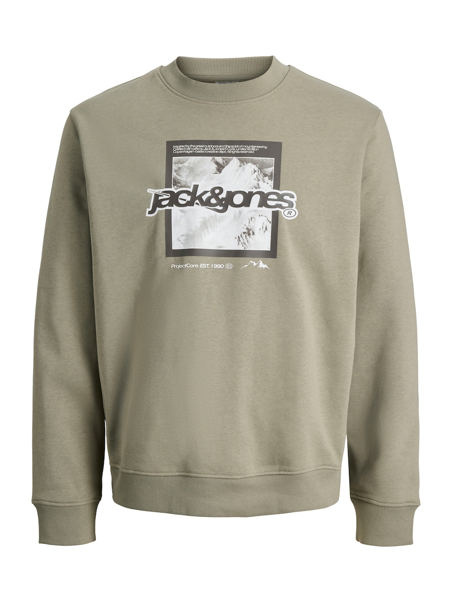 Толстовка Jack & Jones Junior JCOFLARE, серый
Толстовка Jack & Jones Junior JCOFLARE, серый