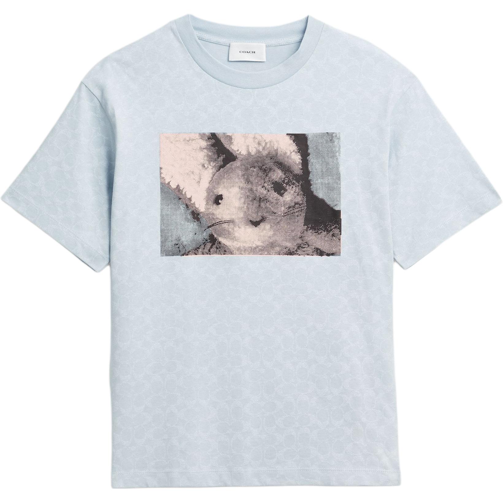 Футболка FW25 Regular женская COACH, синий
Футболка FW25 Regular женская COACH, синий