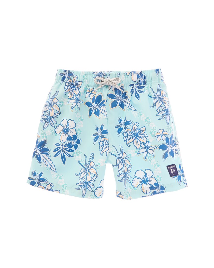 Плавки Endless Summer Volley Swim Short, зеленый
Плавки Endless Summer Volley Swim Short, зеленый