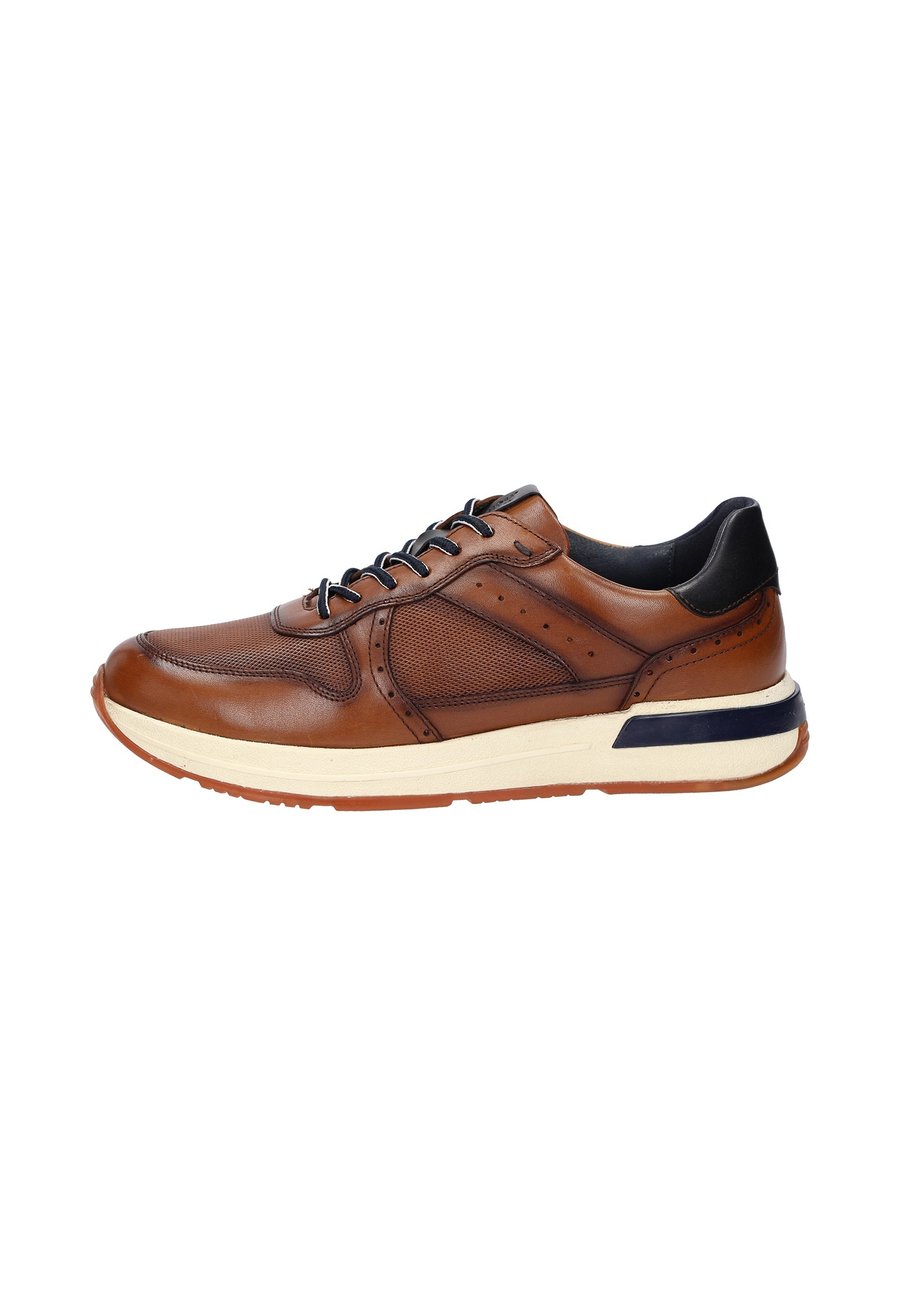 Кроссовки Sioux SNEAKER ROJARO, Cognac
Кроссовки Sioux SNEAKER ROJARO, Cognac