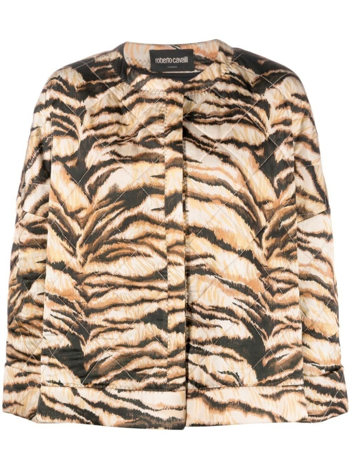 Roberto Cavalli куртка с анималистичным принтом, нейтральный цвет
Roberto Cavalli куртка с анималистичным принтом, нейтральный цвет