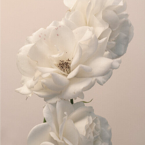 CD диск Imminence: Turn The Light On: Acoustic Reimagination V2
CD диск Imminence: Turn The Light On: Acoustic Reimagination V2