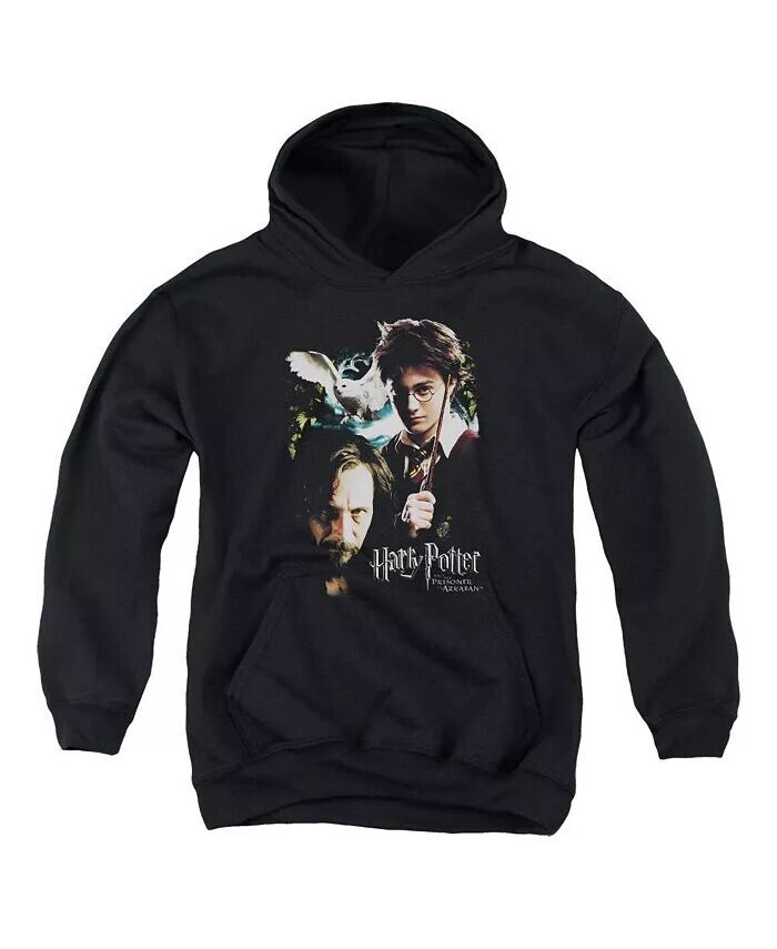 Толстовка с капюшоном для мальчиков и подростков Harry And Sirius Harry Potter, черный
Толстовка с капюшоном для мальчиков и подростков Harry And Sirius Harry Potter, черный