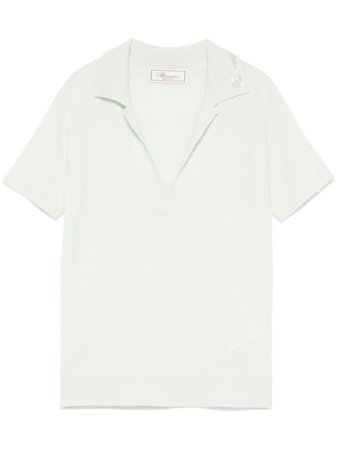 Blumarine рубашка поло с логотипом, зеленый
Blumarine рубашка поло с логотипом, зеленый