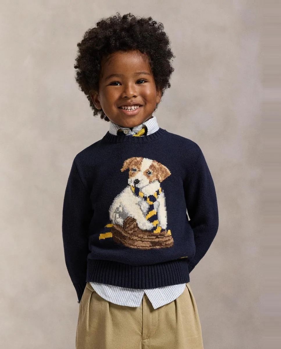 Детский хлопковый свитер с фронтальным рисунком Polo Ralph Lauren, темно-синий
Детский хлопковый свитер с фронтальным рисунком Polo Ralph Lauren, темно-синий