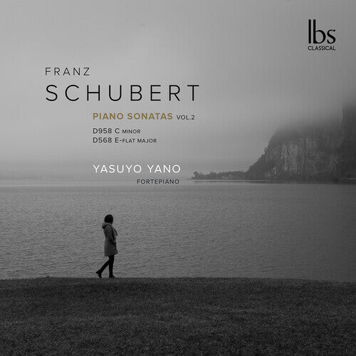 CD диск Schubert / Yano: Fortepiano Sonatas
CD диск Schubert / Yano: Fortepiano Sonatas