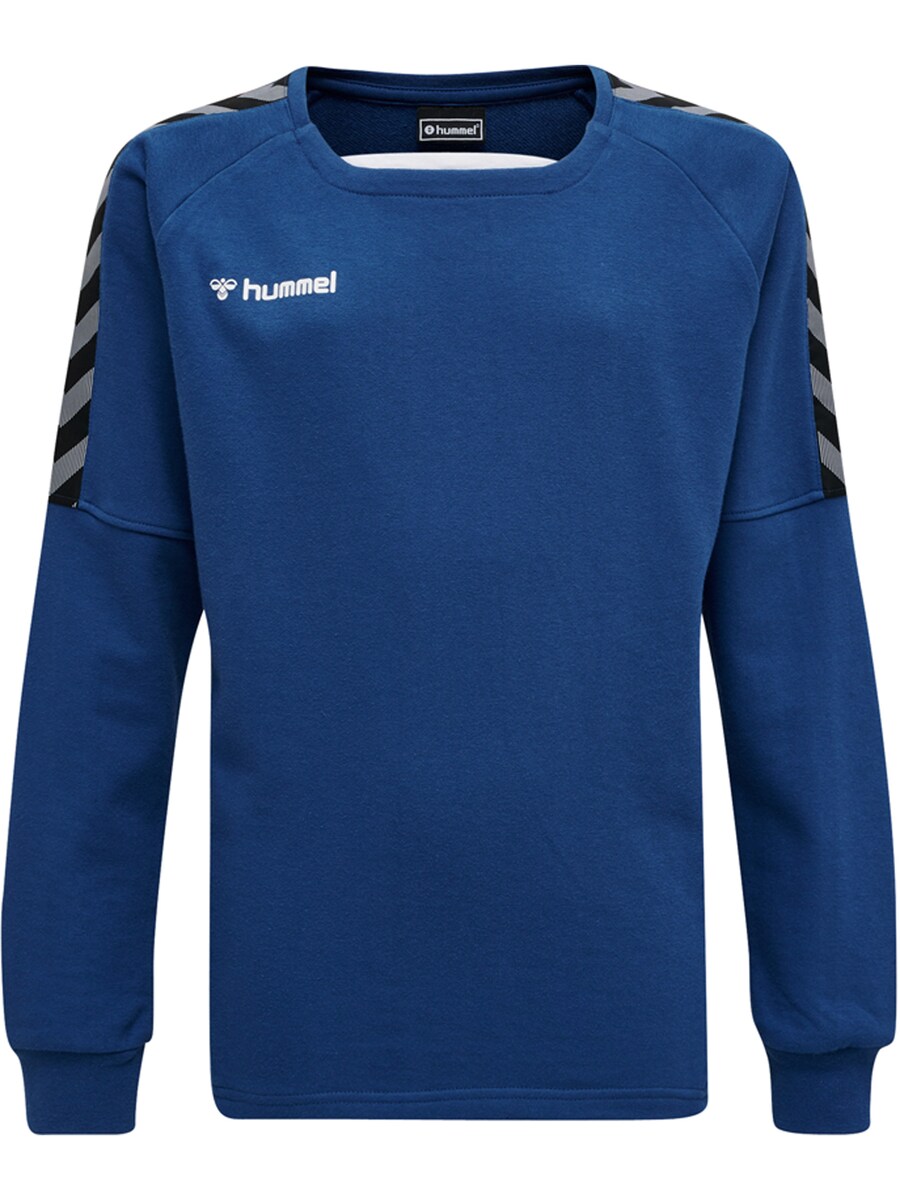 Спортивная толстовка Hummel, цвет Cobalt blue
Спортивная толстовка Hummel, цвет Cobalt blue