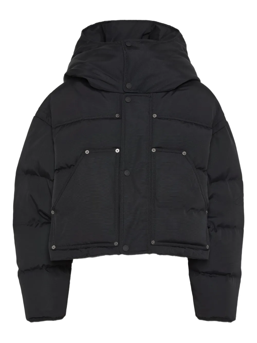 Пуховик с капюшоном DSQUARED2, черный
Пуховик с капюшоном DSQUARED2, черный