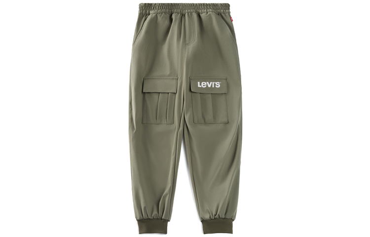 Левис Брюки зеленый четырехлистный клевер Детские Возраст 3 7 лет
Левис Брюки зеленый четырехлистный клевер Детские Возраст 3 7 лет